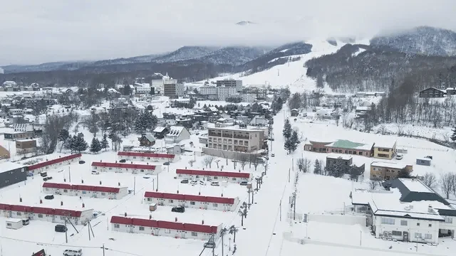 雪に覆われた山間の町並みを上空から捉えた画像です。