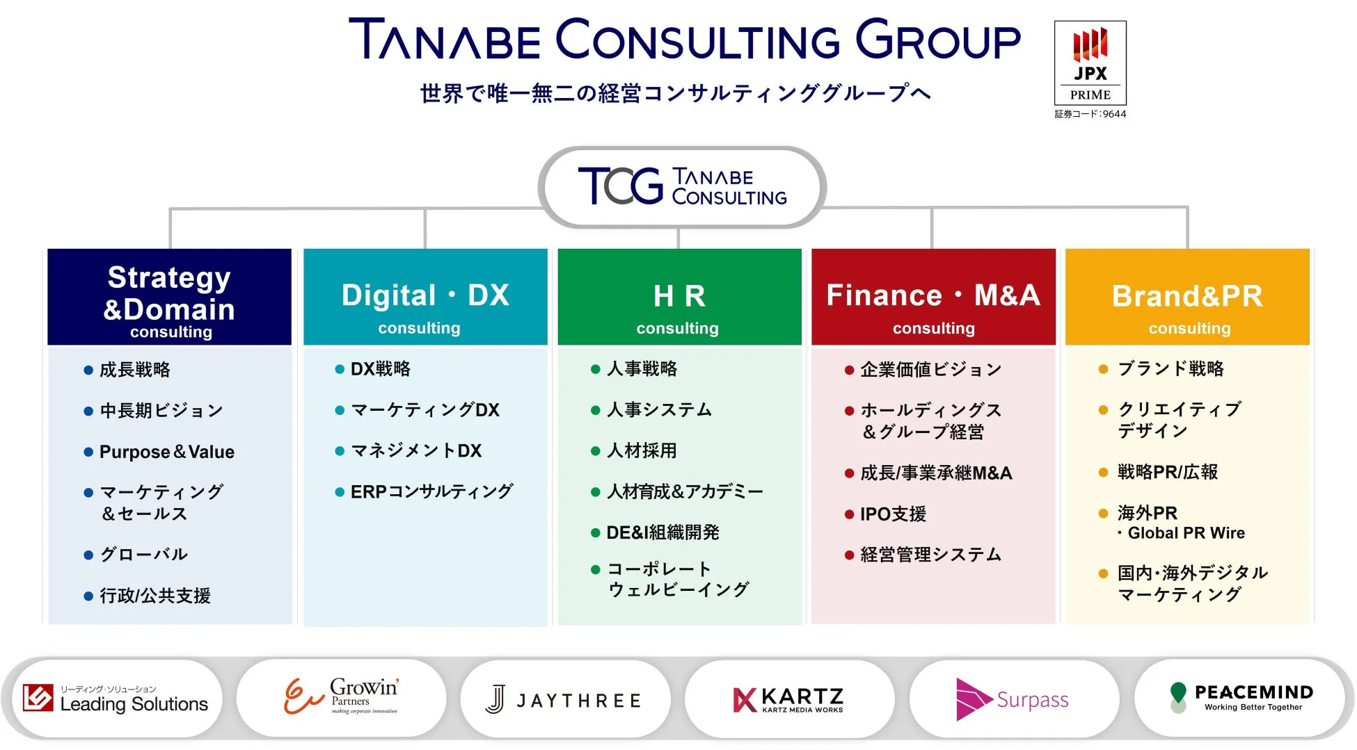 TANABE CONSULTING GROUP
