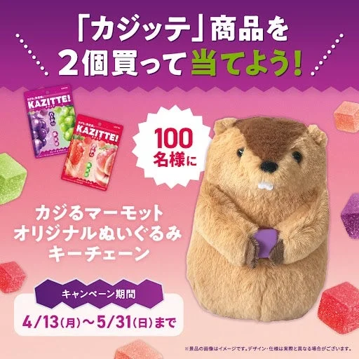 カジッテ!キャンペーンの告知画像
